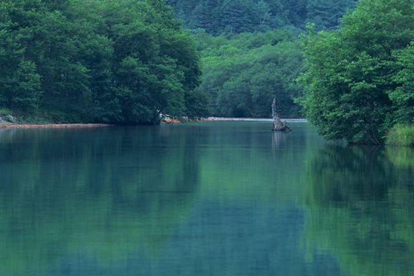 成都至昆明高铁 成都到昆明高铁经过哪些地方？-第1张图片-户籍无忧